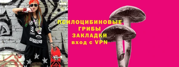 тгк Ростов