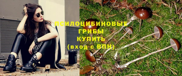 бошки Армянск