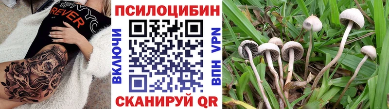 Псилоцибиновые грибы прущие грибы  Дорогобуж 